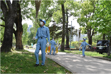 公園の清掃